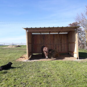 centre de médiation animale
