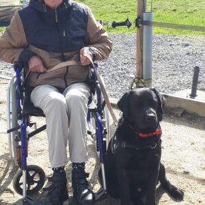 chien et handicap