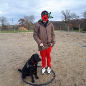 chien et psychomotricité